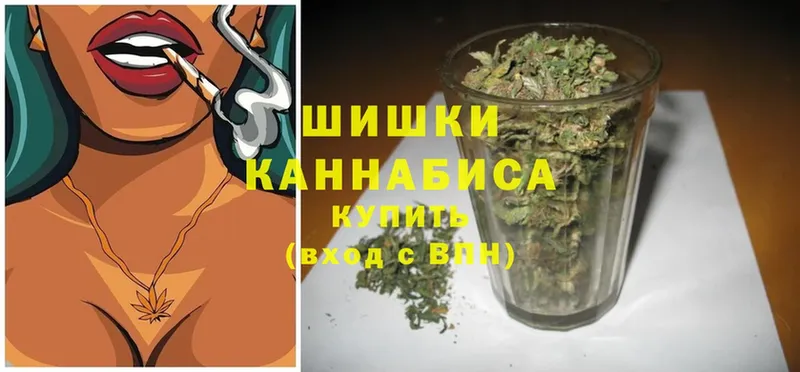 Бошки марихуана Amnesia  Горбатов 